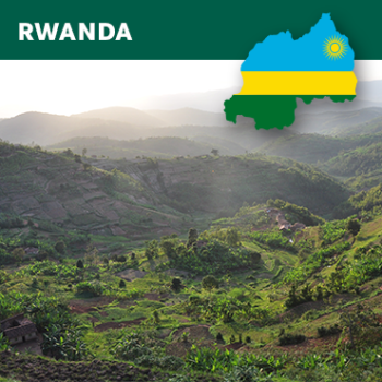 Rwanda Honey Bourbon