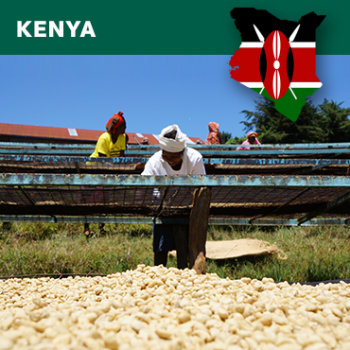Kenia AA Plus