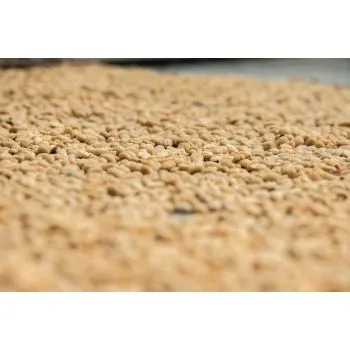 Peru Kaffee - fair gehandelt, organic