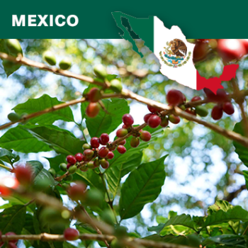 Mexico Kaffee