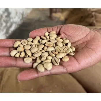Indian Monsooned -kein Espresso