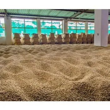 Espresso Malabar aus Indien